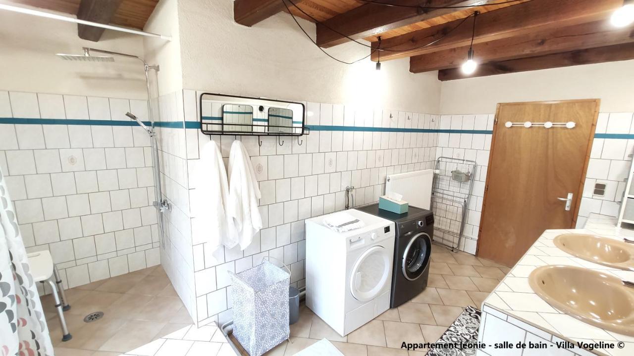Spacieux duplex - billard - 200m des thermes Bains-les-Bains Extérieur photo